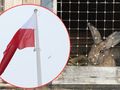 Kandydaci na prezydenta - czy popierają ograniczenie hodowli zwierząt na futro?