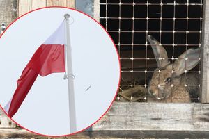 Kandydaci na prezydenta - czy popierają ograniczenie hodowli zwierząt na futro?