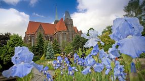 Ogród Botaniczny we Wrocławiu