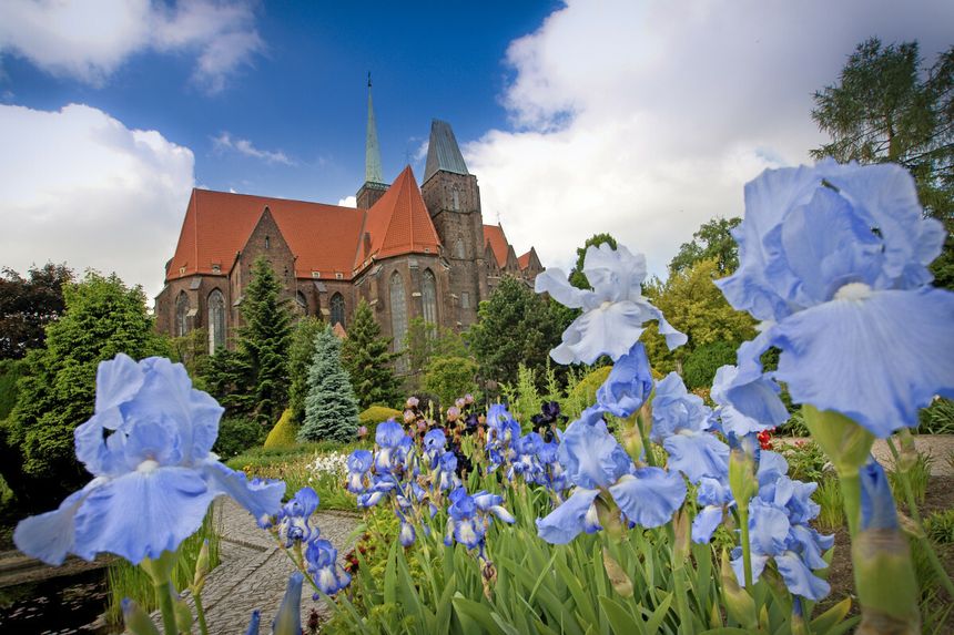 Ogród Botaniczny we Wrocławiu