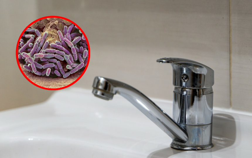 Legionella