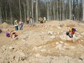 Archeologiczne znalezisko w Gdyni: Kurhany i groby