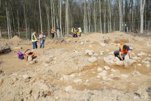 Archeologiczne znalezisko w Gdyni: Kurhany i groby