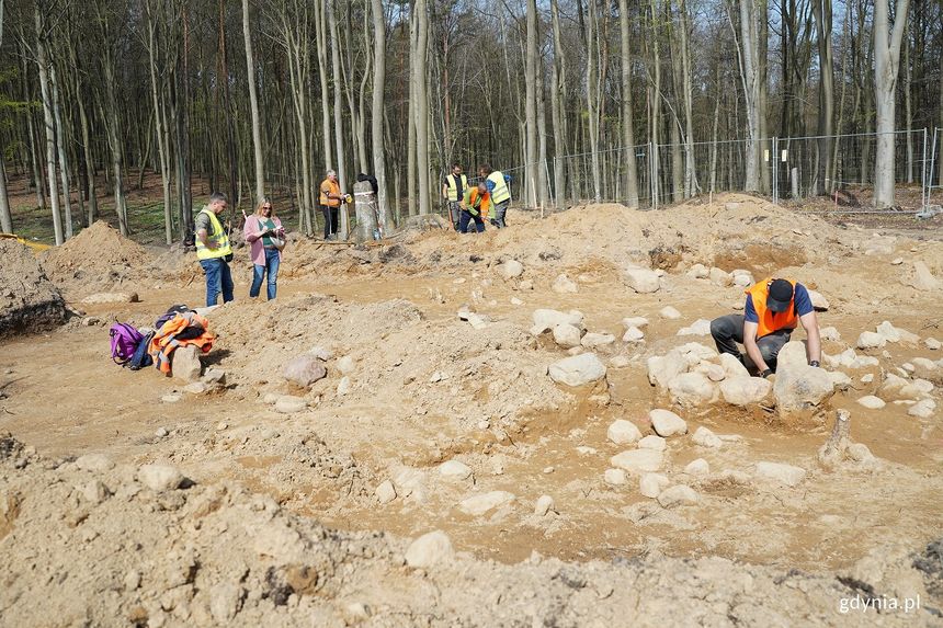 Archeologiczne znalezisko w Gdyni: Kurhany i groby