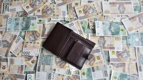 portfel leżący na pieniądzach