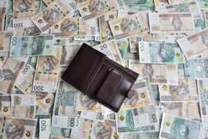 portfel leżący na pieniądzach