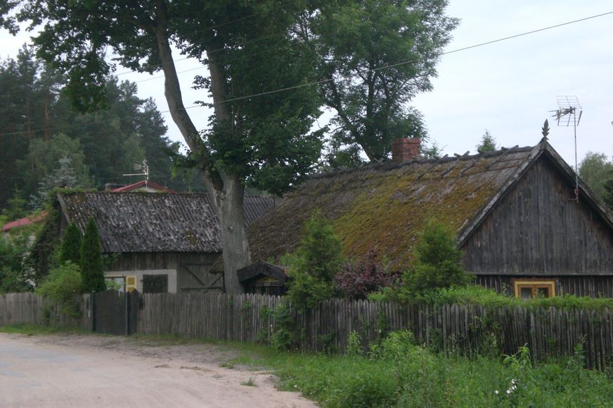 Klaniny