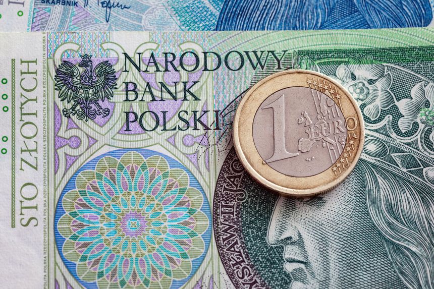 złoty, euro