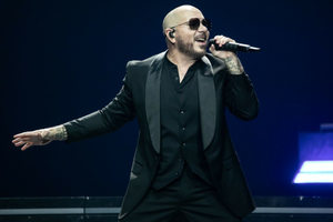 Pitbull