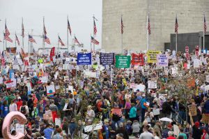 Protest w Waszyngtonie