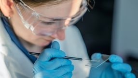 Naturalne antybiotyki: przyszłość medycyny?