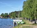 Bory Tucholskie