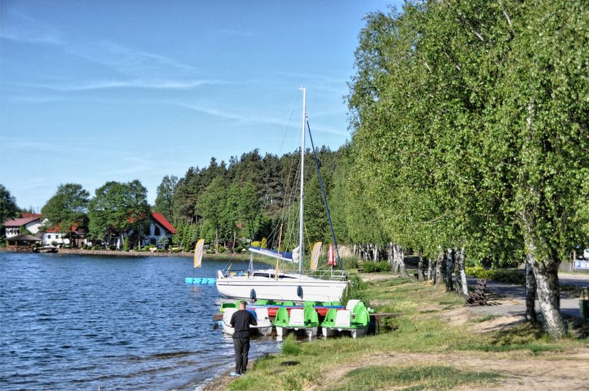 Bory Tucholskie