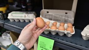 jajko trzymane w ręku