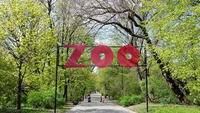 zoo w Warszawie