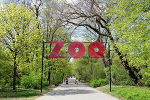 zoo w Warszawie