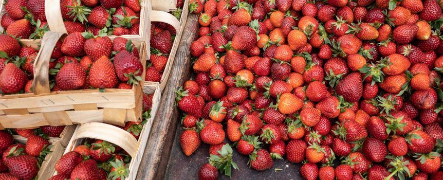 truskawki