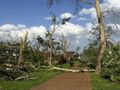 Uszkodzenia po tornadzie w St. Louis w stanie Missouri, 16 maja 2025 r.