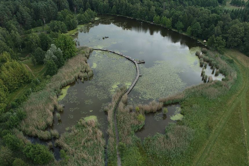 Arboretum Leśne im. prof. Stefana Białoboka, Nadleśnictwo Syców
