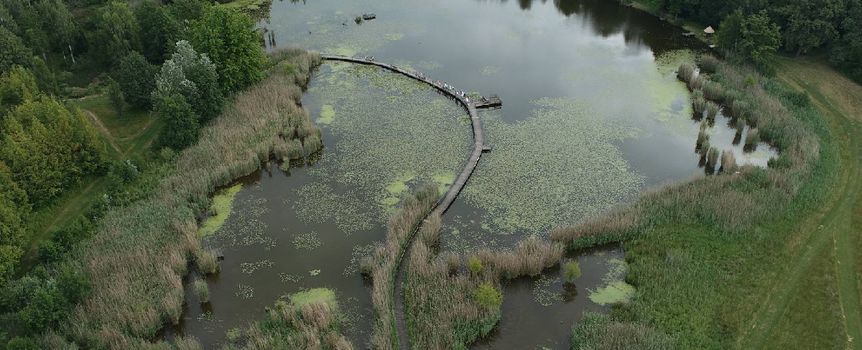 Arboretum Leśne im. prof. Stefana Białoboka, Nadleśnictwo Syców