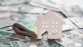 pieniądze i domek z drewna