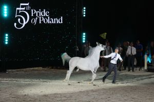Aukcja Pride of Poland