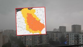 lawina alertów