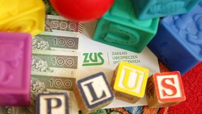 pieniądze, logo ZUS i napis "plus" z klocków