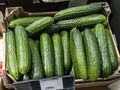 Skąd pochodzą importowane ogórki? Kontrola IJHARS