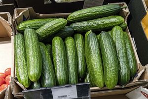 Skąd pochodzą importowane ogórki? Kontrola IJHARS