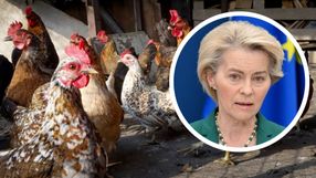 Ursula von der Leyen kury