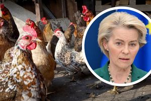 Ursula von der Leyen kury