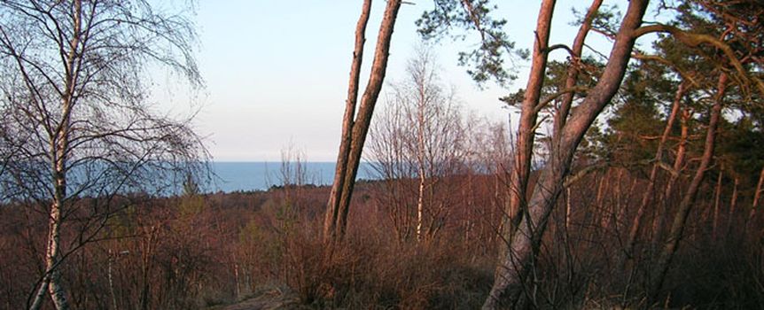 Wielbłądzi Garb
