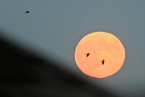 Eksploracja kosmosu będzie należała do robotów