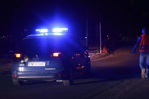 policja