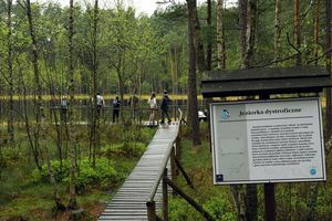 Mazurski Park Krajobrazowy