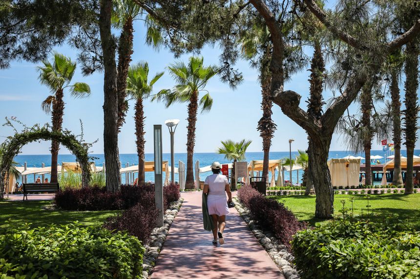 plaża z palmami