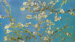 "Kwitnące migdały" Vincent van Gogh
