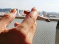 Renta tytoniowa odnosi się do świadczeń z powodu chorób palaczy