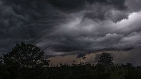 burza