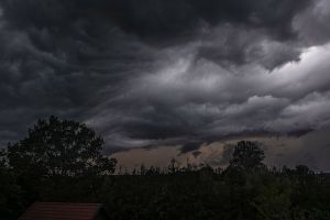 burza