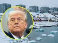 Grenlandia Trump