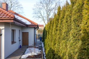 Dofinansowanie do ogrodów 2025: Jak uzyskać wsparcie?