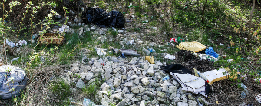 Wywożenie śmieci do lasu