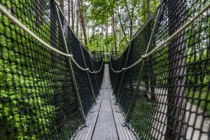 Spacer w koronach drzew - Park Dolina Wkry w Pomiechówku