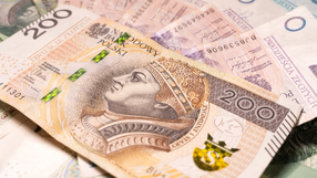 pieniądze złotówki 