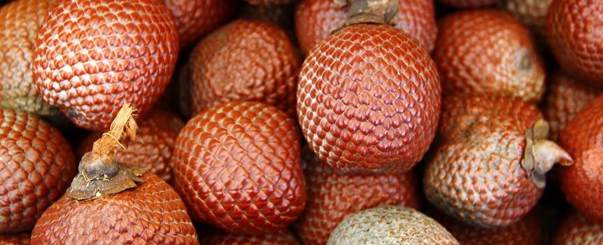 Salak, czyli "wężowy owoc" z Azji
