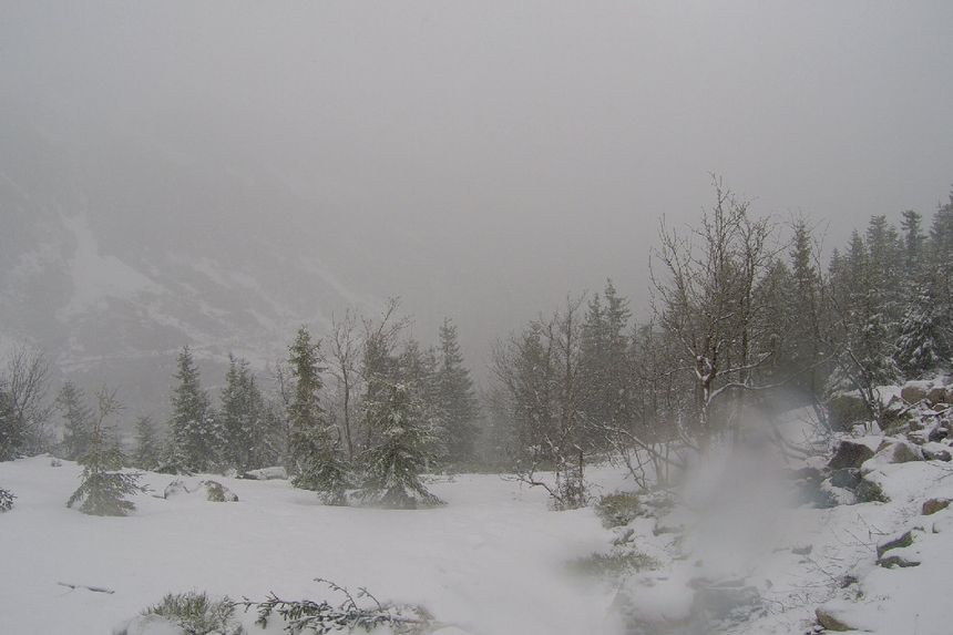 Karkonosze