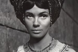 Ewa Krzyżewska