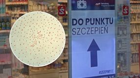 2121.Note: Not all PHIL images are public domain; be sure to check copyright status and credit authors and content providers.العربية | Deutsch | English | македонски | slovenščina | +/−, Domena publiczna, https://commons.wikimedia.org/w/index.php?curid=973324